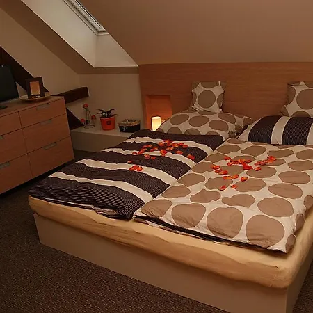 Guest house A Relax Centrum Andelka 3*