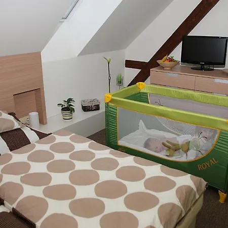 Πανσιόν A Relax Centrum Andelka 3*
