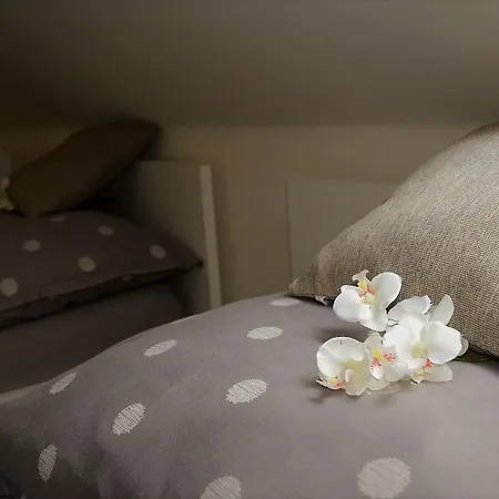 A Relax Centrum Andelka Πανσιόν 3*