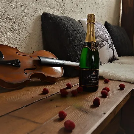 A Relax Centrum Andelka Πανσιόν Hanušovice