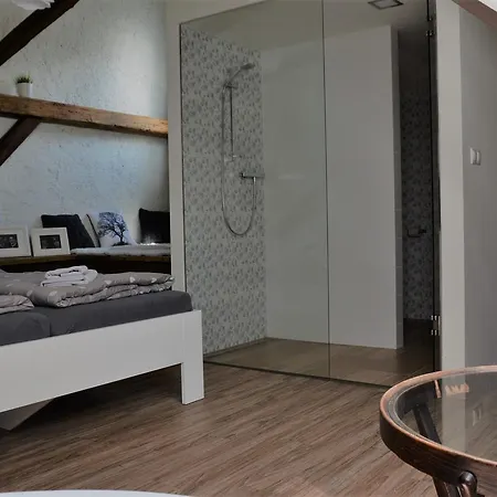 A Relax Centrum Andelka Πανσιόν Hanušovice