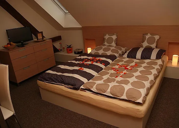 Gasthuis A Relax Centrum Andelka 3*