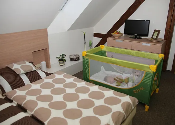 Gasthuis A Relax Centrum Andelka 3*