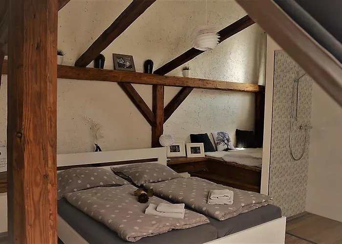 Gasthuis A Relax Centrum Andelka 3*